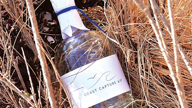 Viral, Perusahaan Ini Menjual Udara Pantai Senilai Rp 1,4 ...