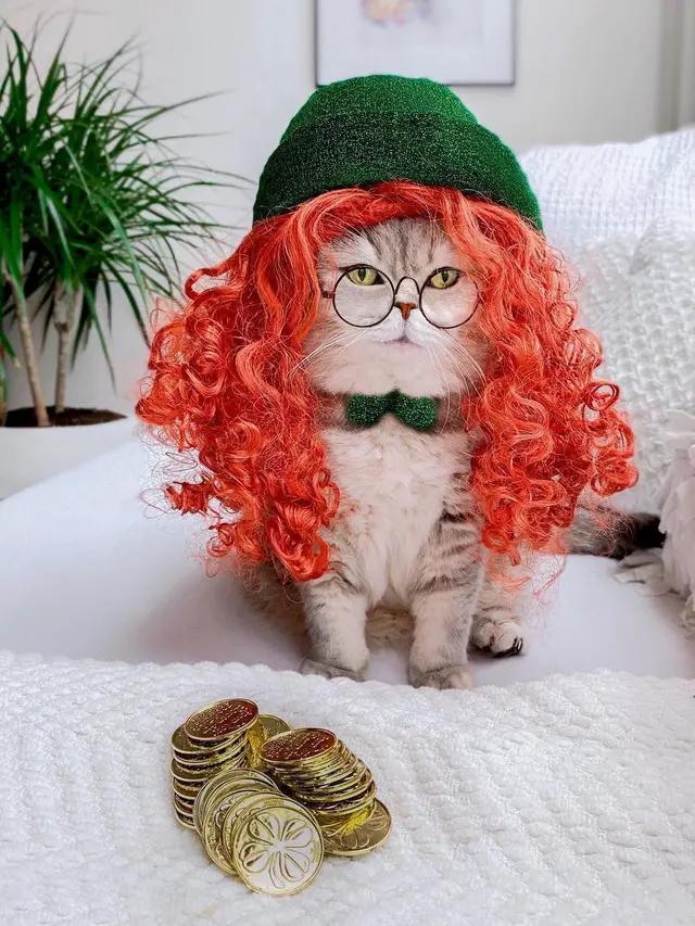 Pakai Kostum Lucu, Ini 6 Potret Kucing saat Jadi Model Ini Bikin Gemas