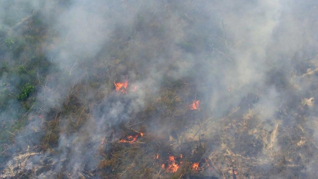 Ini foto mengerikan asap kebakaran hutan Riau dari udara