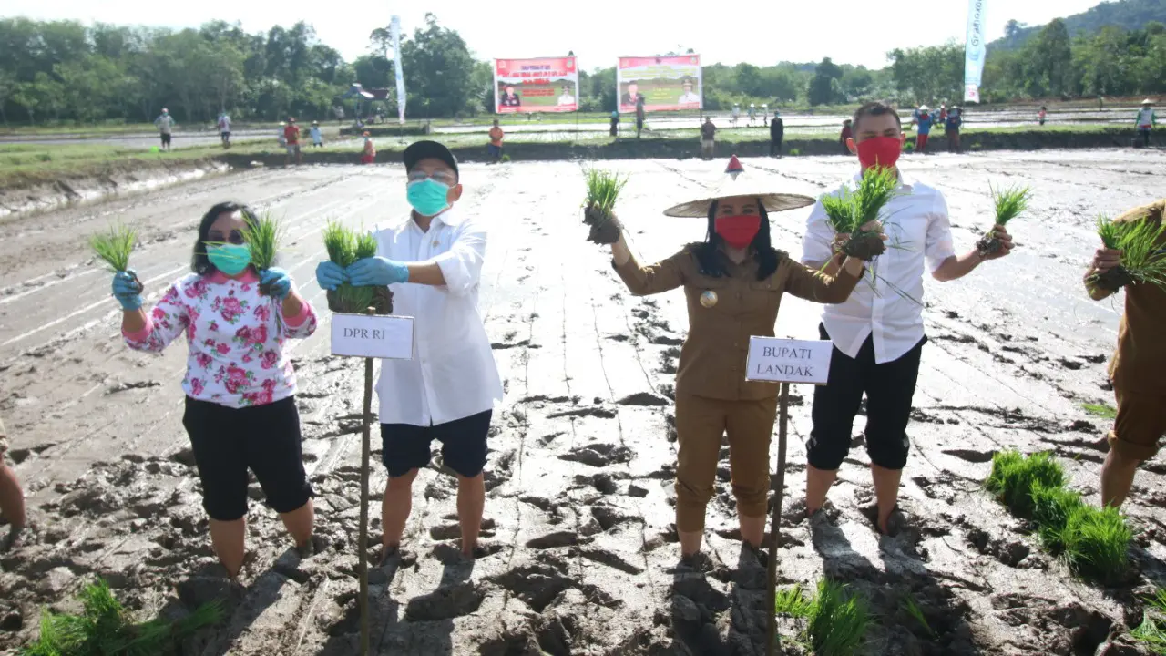Hindari Krisis Pangan, Bupati Cantik Karolin Ajak Petani Giat Tanam Padi