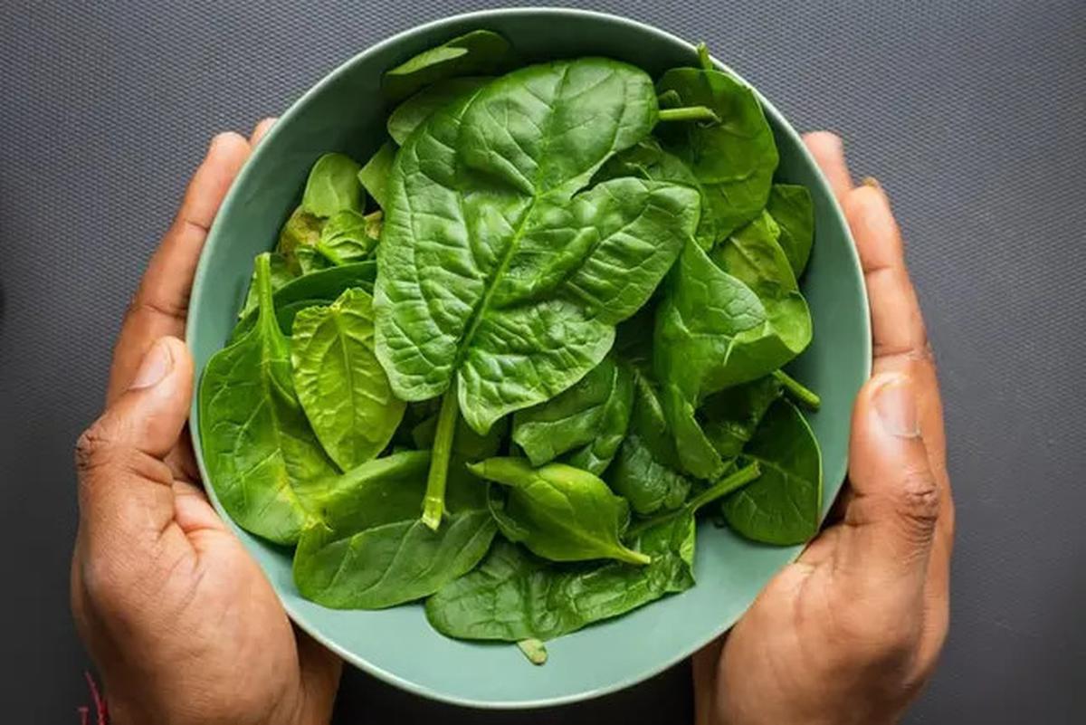 Makanan yang Harus Dihindari oleh Penderita Asam Urat: 18 Jenis yang Perlu Diketahui