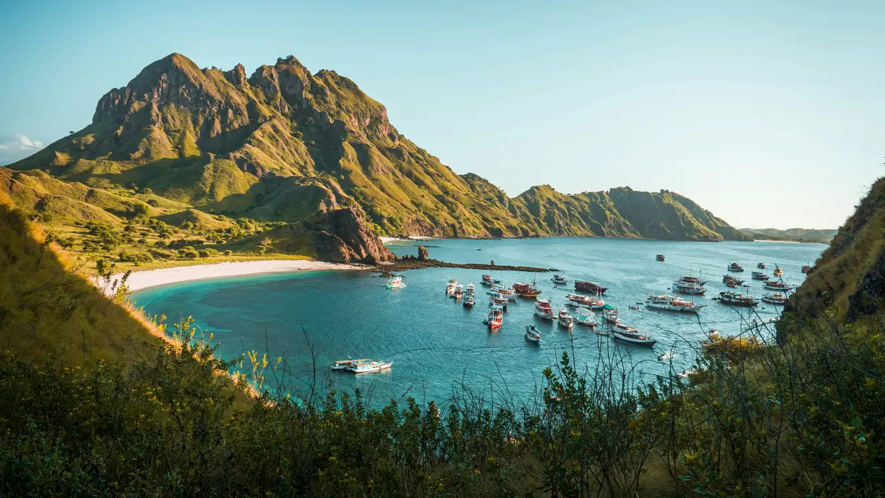 ilustrasi pulau komodo