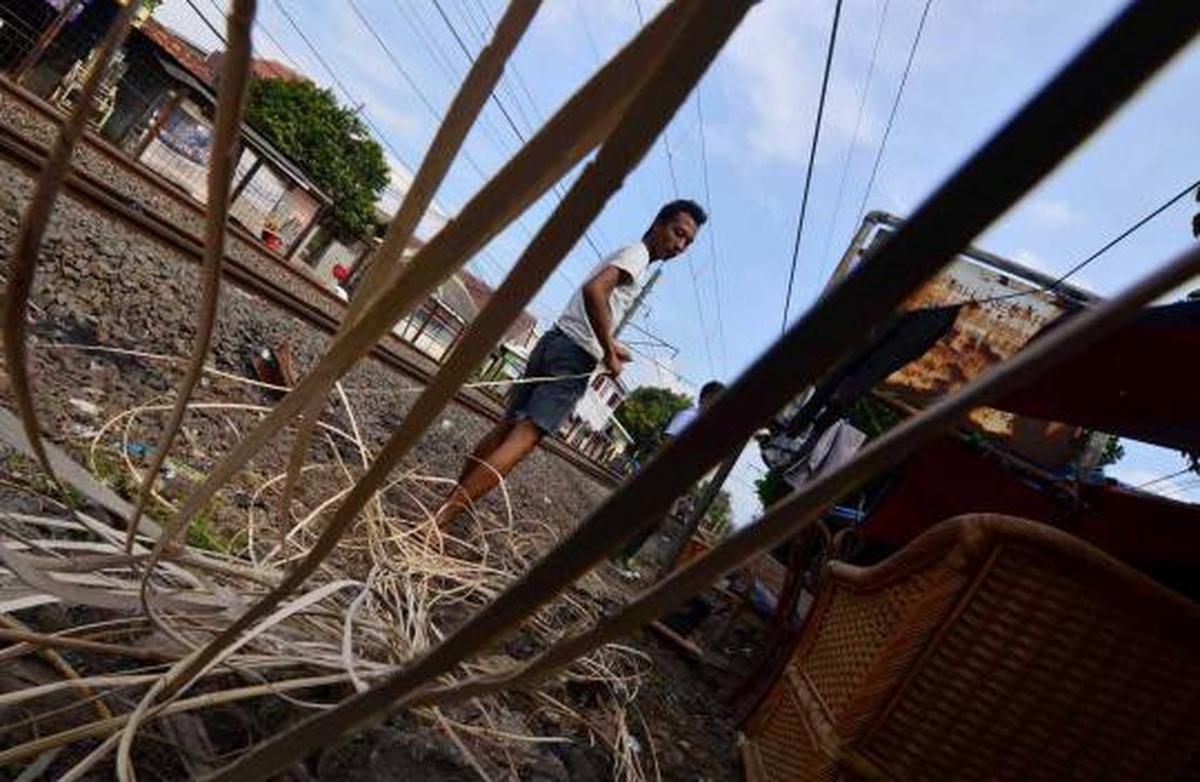 Mengais rejeki dari rotan