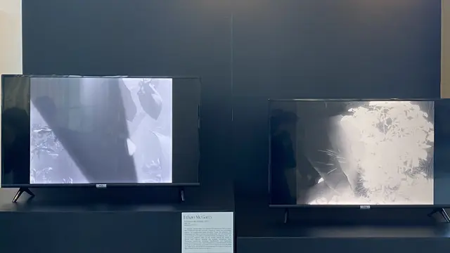 Karya Ethan Mc Garry