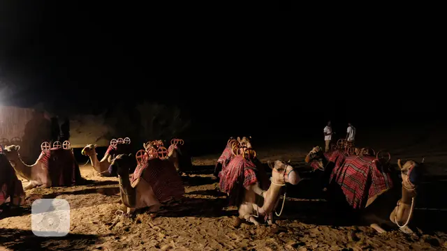 Objek Wisata di Dubai