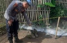 Granat Latihan Ditemukan dalam Sepatu Warga Garut Meledak, Empat Orang Luka-Luka