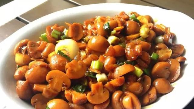 Tumis Jamur Kecap Manis Gurih