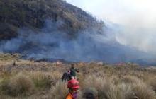 Kebakaran Berhasil Dipadamkan, Bromo Dibuka Kembali Mulai 20 Agustus