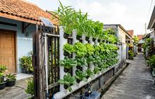 8 Ide Pagar Sayur Depan Rumah yang Estetik dan Bikin Asri