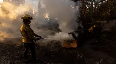 Petugas pemadam berupaya memadamkan api di lokasi jembatan yang terbakar di perbukitan Big Pines dekat Wrightwood, California. pada tanggal 12 September 2024. (ETIENNE LAURENT/AFP)