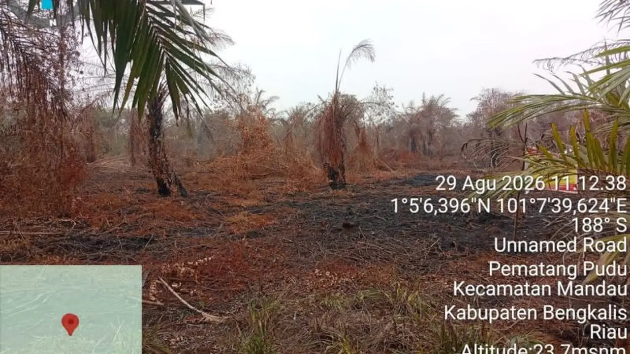 Kasus karhutla di Riau. (Antara)