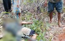 Detik-Detik Petani Merica Diserang Ular Piton, Kaki Digigit hingga Jatuh Lalu Dililit hingga Tewas