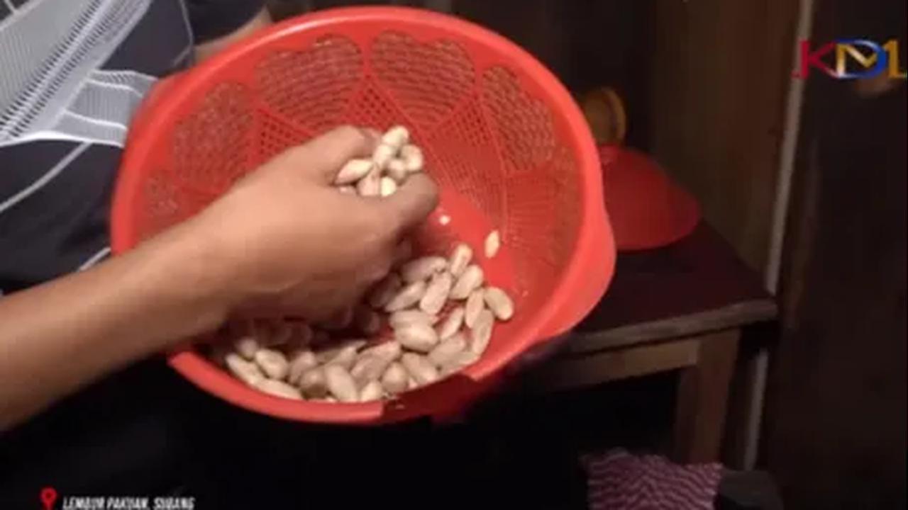 "Saya juga suka. Dulu saya juga suka makan biji nangka. Dulu waktu saya SD," ungkapnya. <br>