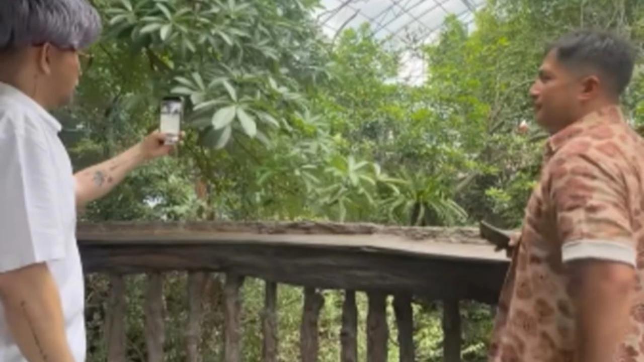 7 Foto Rumah Irfan Hakim yang Dikelilingi Taman Indah, Dipenuhi Koleksi Hewan Peliharaannya