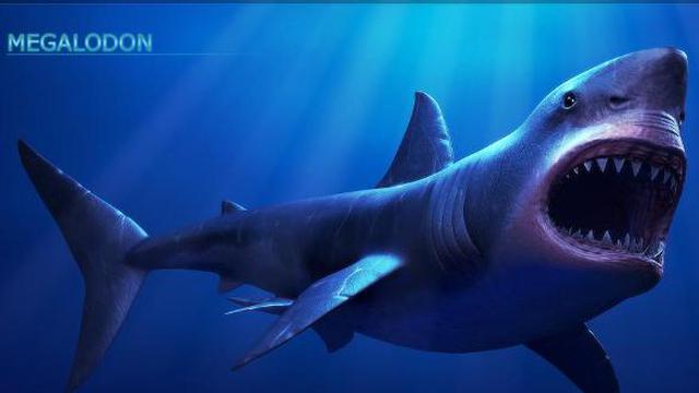 7700 Gambar Ikan Hiu Megalodon Terbesar Terbaik