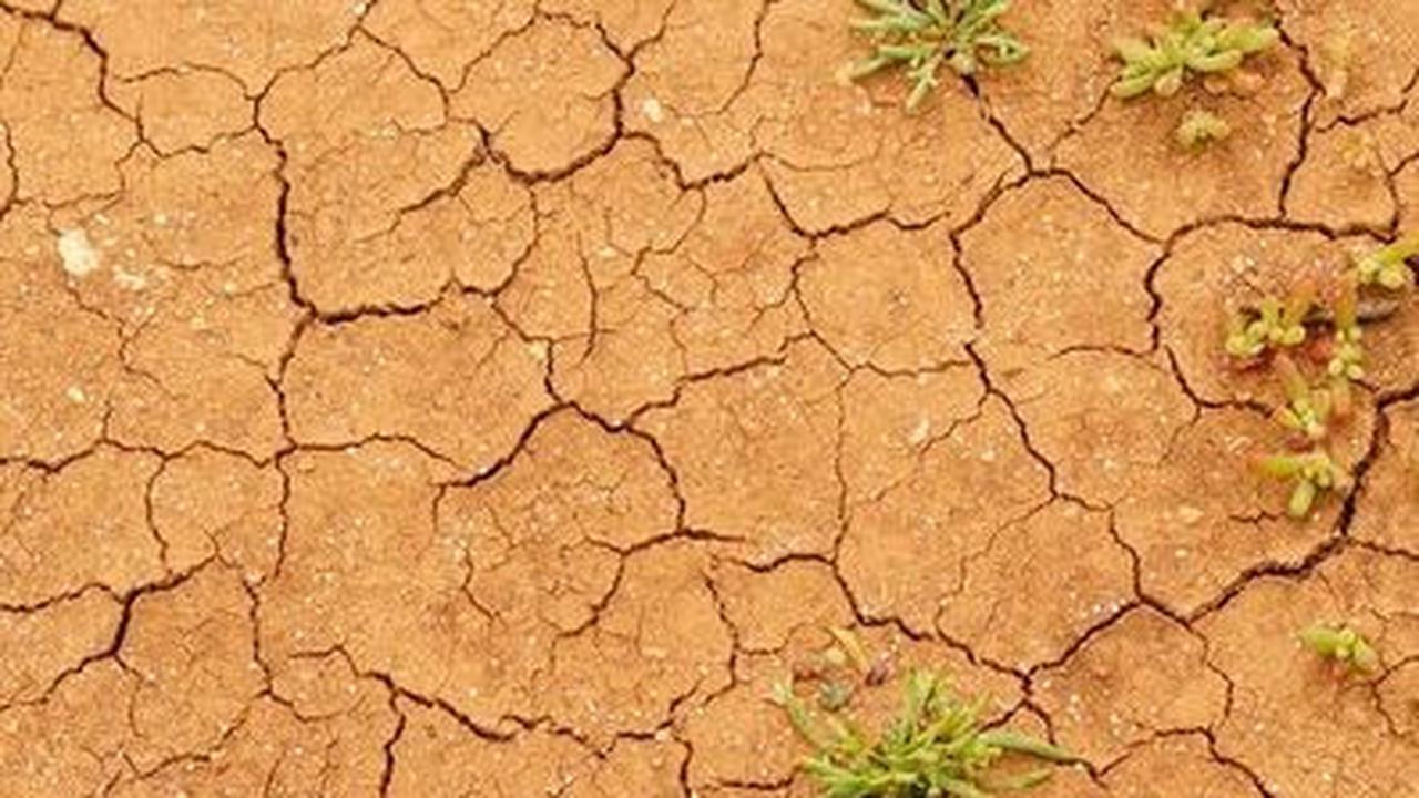 Potret Miris Warga Trenggalek Terdampak Kemarau Panjang, Belasan Desa Krisis Air Bersih dan 32 Kali Kebakaran Hutan