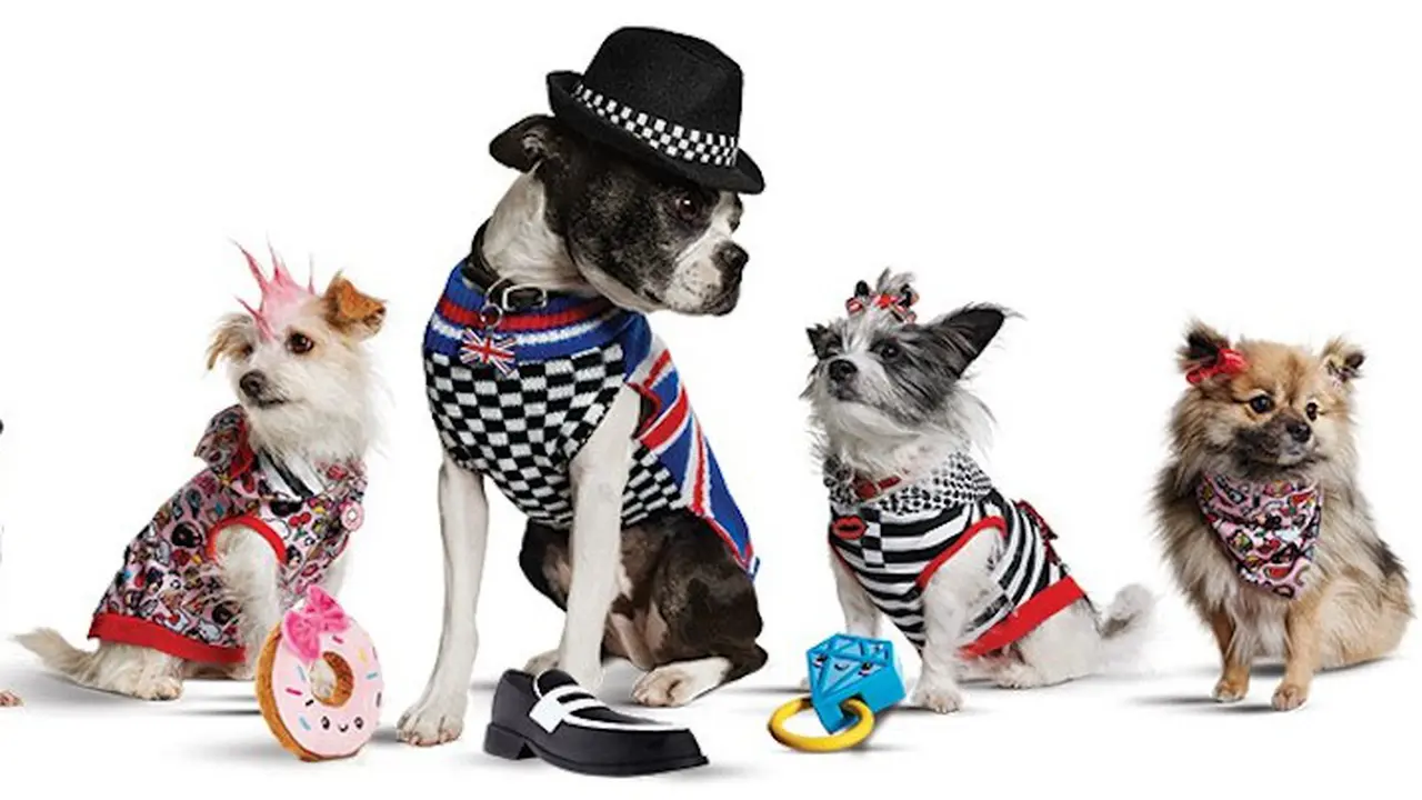 Label pakaian anjing Gwen Stefani