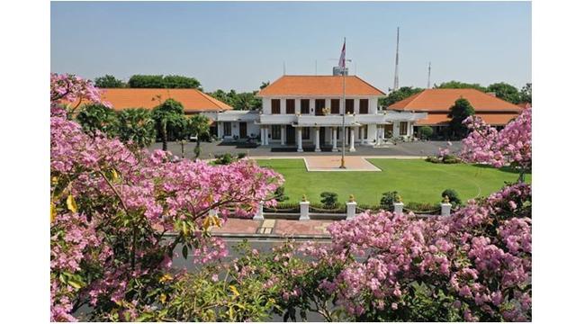 Pemerintah Kota Surabaya menanam Pohon Tabebuya di pinggir-pinggir jalan sejak 10 tahun lalu.