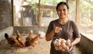 7 Cara Menghitung Keuntungan Ternak Ayam Kampung Petelur, Panduan untuk Memulai Usaha dari Rumah