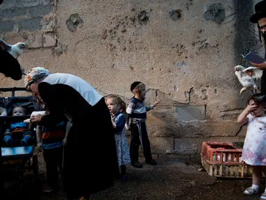 Pria Yahudi ultra-Ortodoks mengayunkan ayam memutari kepala anak-anak dalam ritual Kaparot di Bnei Brak, Israel, Minggu (16/9). Ayam ini kemudian akan disembelih menjadi pengganti seseorang tersebut sebagai penebusan untuk dosa-dosanya. (AP/Oded Balilty)