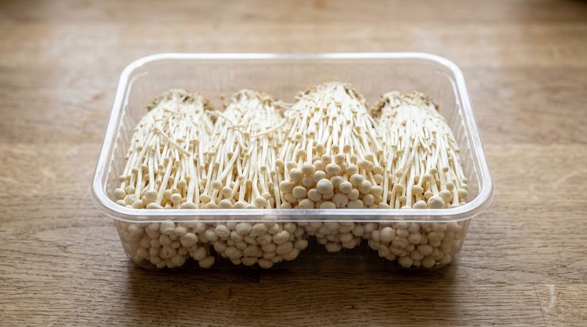 Enoki