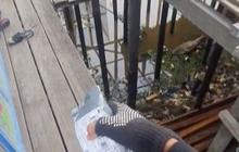 Dedikasi Penuh seorang Kurir Antarkan Paket Lewati Jalan Setapak di Tengah Sungai, Sekali Salah Langkah Bikin Tergelincir