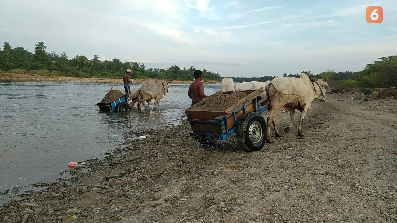Penambang Pasir tradisional di Kabupaten Bone Bolango (Foto: Arfandi Ibrahim/Liputan6.com)