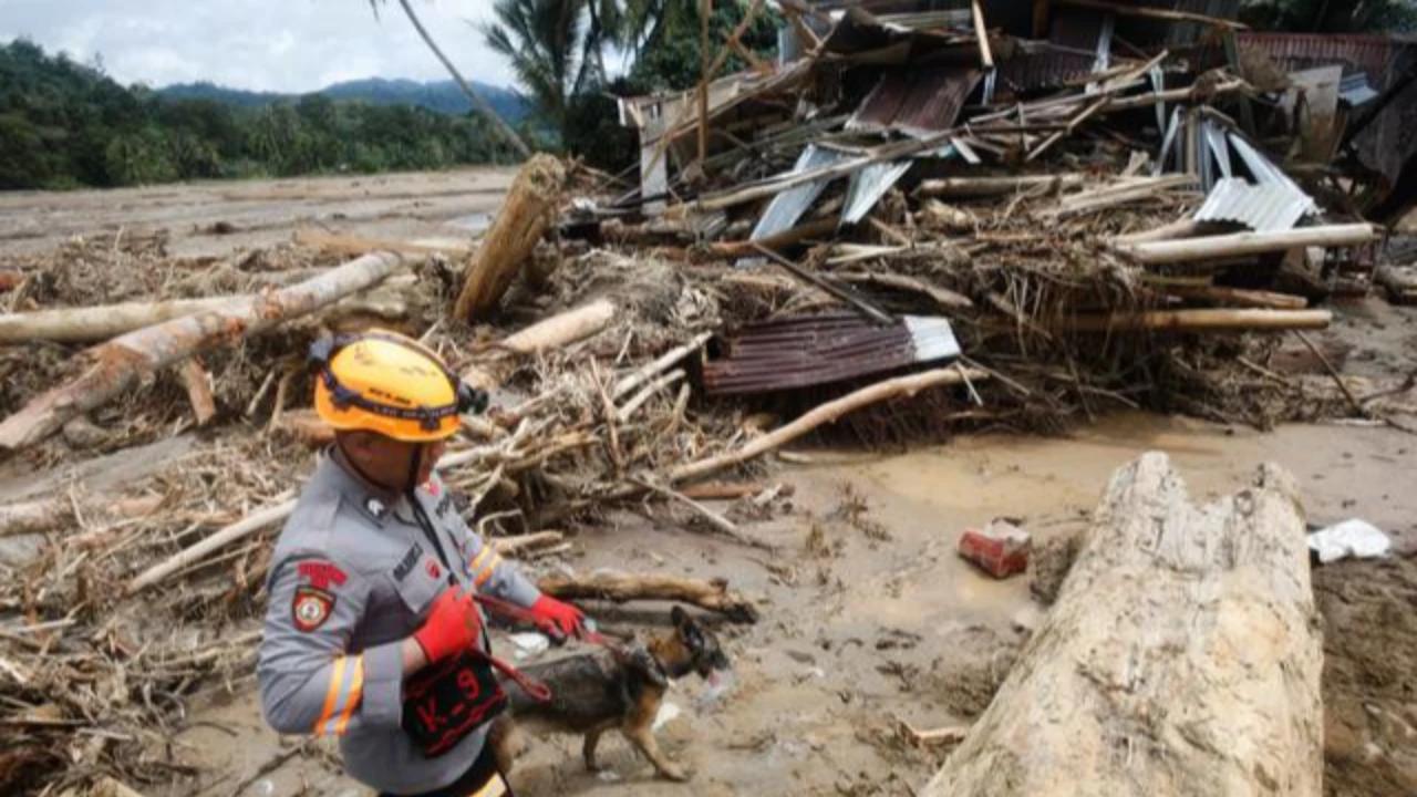 Bos PLN Ungkap Kerusakan Listrik Aceh Terburuk Sepanjang Sejarah, Lampaui Dampak Tsunami 2004