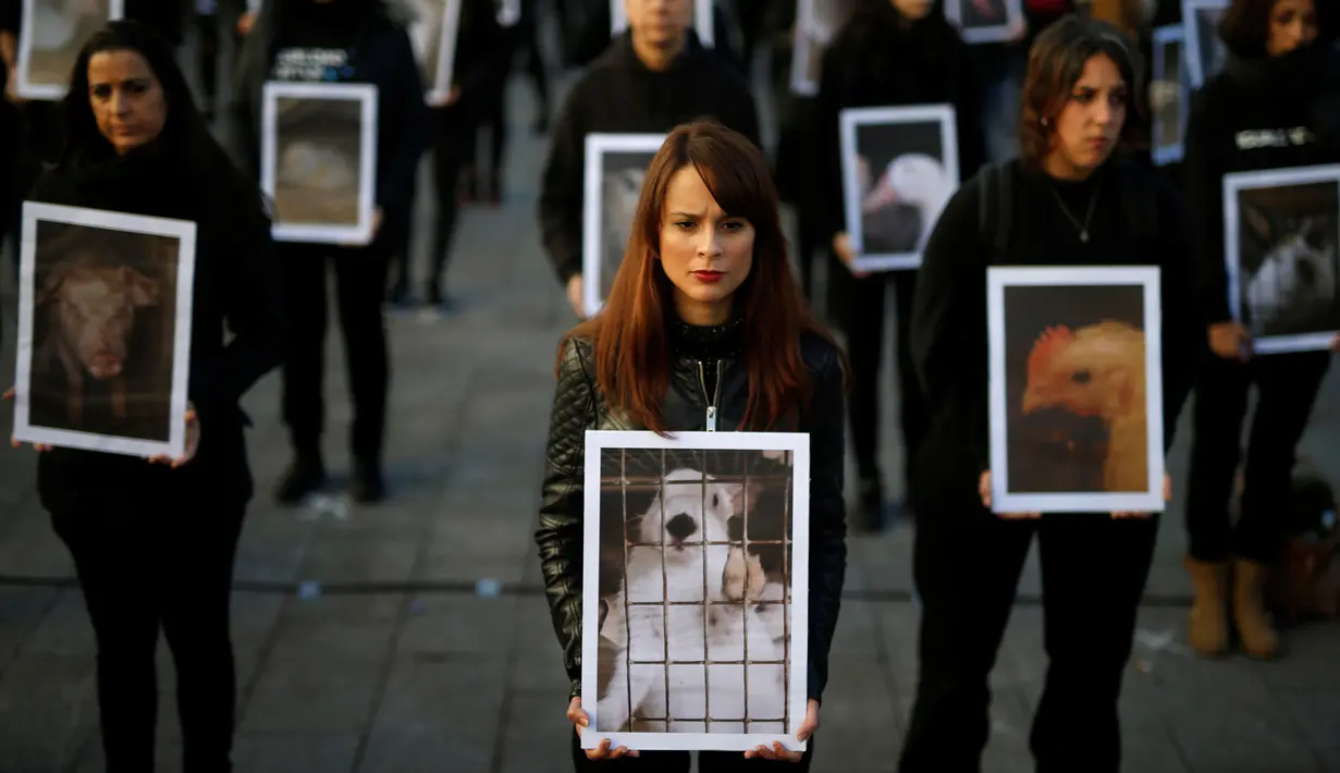 Sejumlah aktivis dari Igualdad Animal mebawa poster bergambar hewan saat melakukan aksi protes di di Madrid, Spanyol (10/12). Mereka bergerak dalam organisasi non-profit yang tujuannya ingin menyetarakan hak binatang. (Reuters/Javier Barbancho)