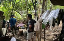 Polresta Sorong Kota Tangkap Pembuat Miras Ilegal Cap Tikus di Kabupaten Sorong