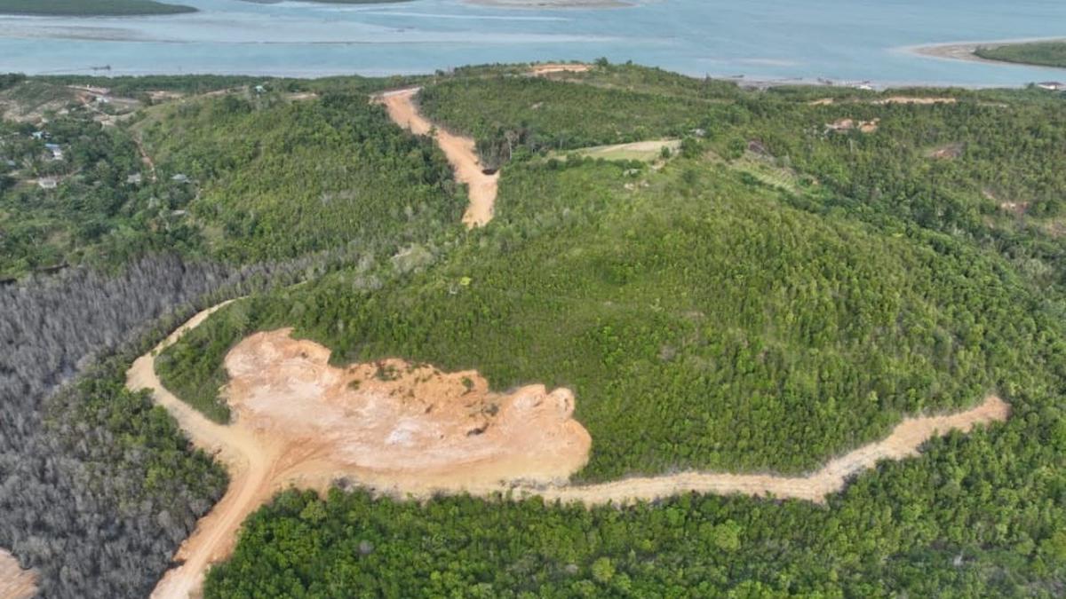 Korporasi Keruk Bukit di Hutan Lindung Tanjung Piayu Batam