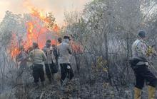 Polri Beberkan Modus Karhutla: Lahan Dibakar Saat Kemarau untuk Kebun Sawit