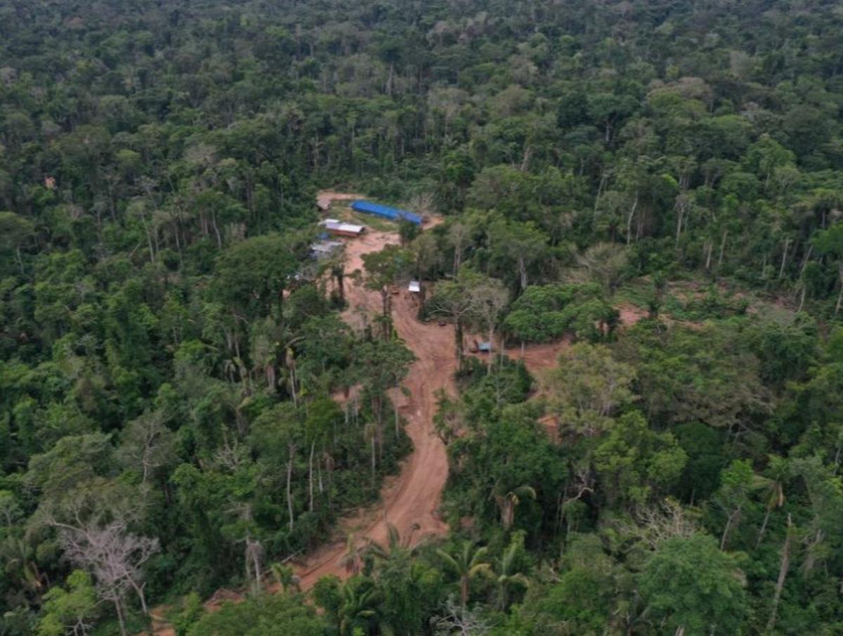 Lokasi pembalakan liar di dalam hutan Amazon, Peru, lahan yang ditempati suku Mashco Piro.