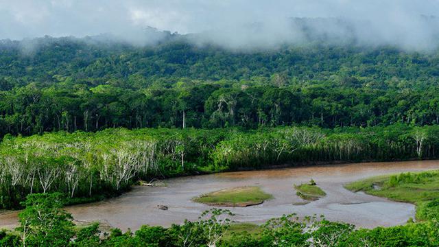 Taman Nasional Madidi, Bolivia