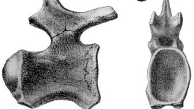 Temuan Spesies Baru Titanosaurus di China yang Hidup di Zaman Kapur