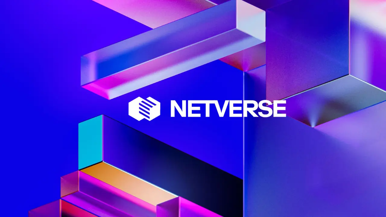 Netverse (IBF Net)