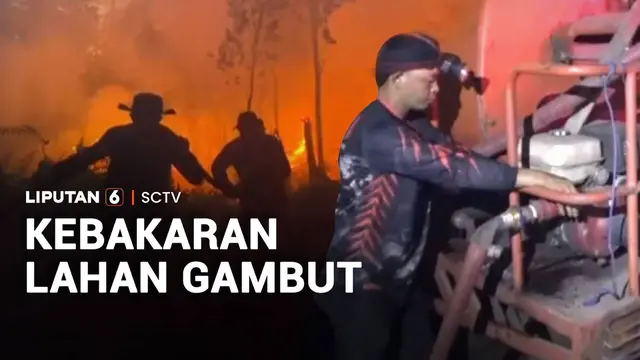 Kebakaran Lahan Gambut