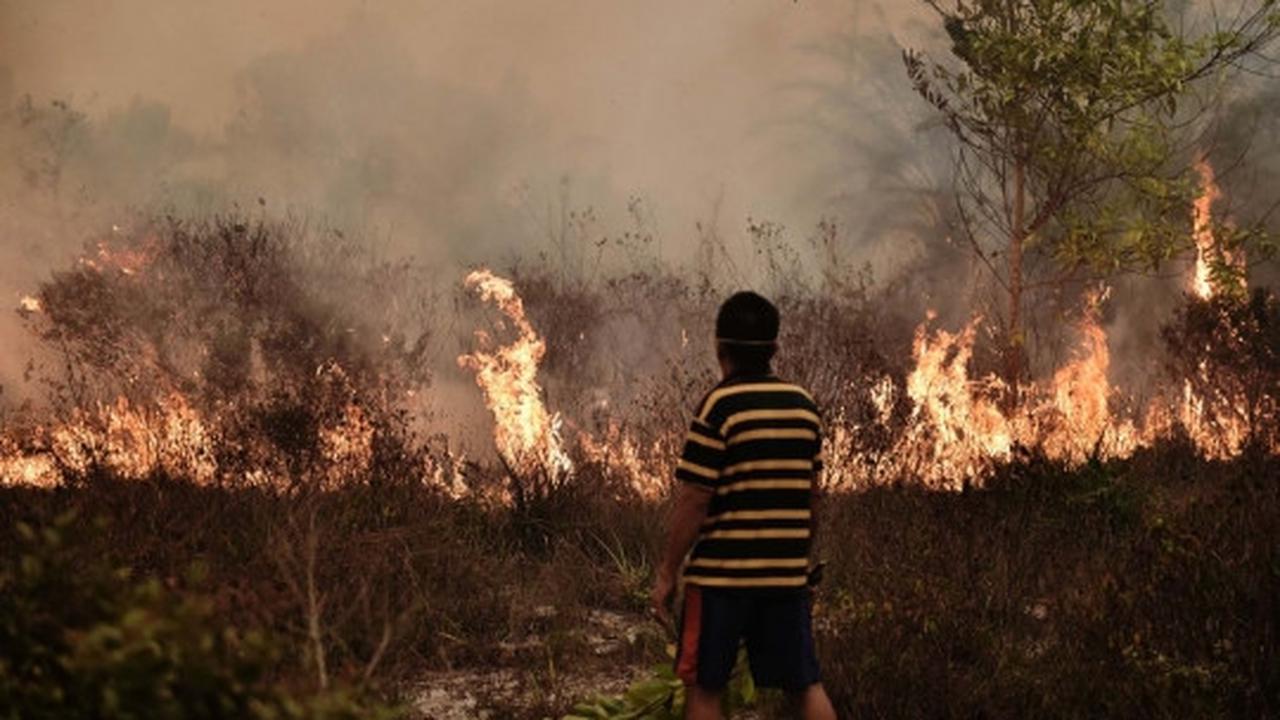 Perjuangan warga padamkan kebakaran hutan dengan alat seadanya