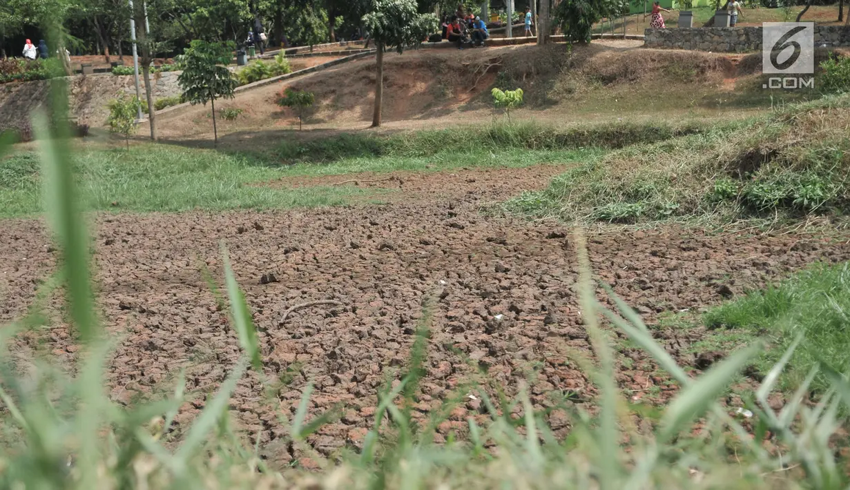 Kondisi danau yang mengalami kekeringan di area Taman Cempaka, Cipayung, Jakarta Timur, Minggu (7/7/2019). Danau buatan yang sedianya berfungsi sebagai penampung air hujan sekaligus wisata pemancingan gratis mengalami kekeringan akibat musim kemarau. (merdeka.com/Iqbal S Nugroho)