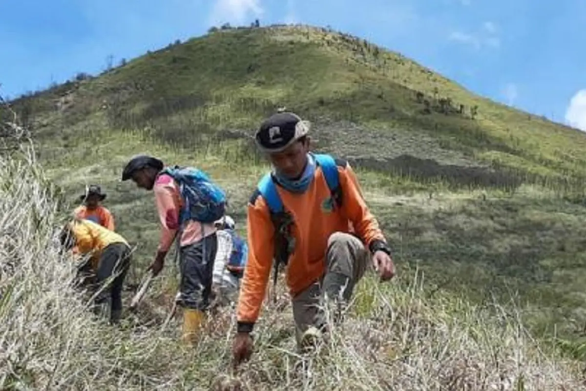 Gunung Merbabu