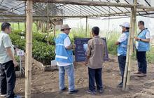 Menengok Digitalisasi Pembibitan Mangrove di Cilacap, Tingkatkan Efisiensi dan Produktivitas