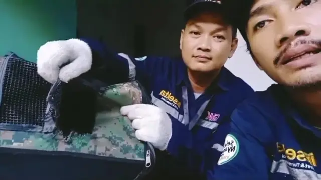 Klarifikasi Petugas Pengendalian Hama