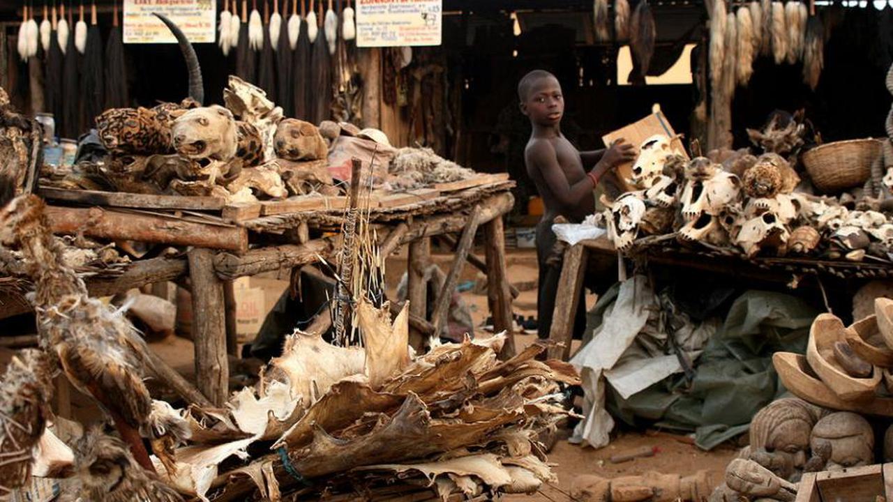  Eksotisnya Pasar Akodessewa, Pasar Voodoo Terlengkap di Dunia