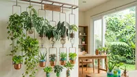 7 Konsep Kombinasi Tanaman Hias dan Sayur Hidroponik di Rumah, Kebun Estetik & Produktif