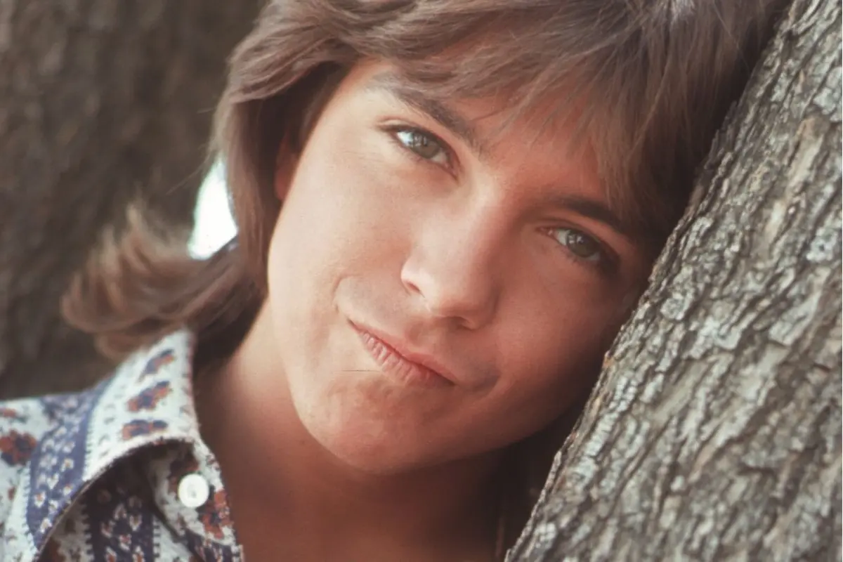 [Bintang] David Cassidy