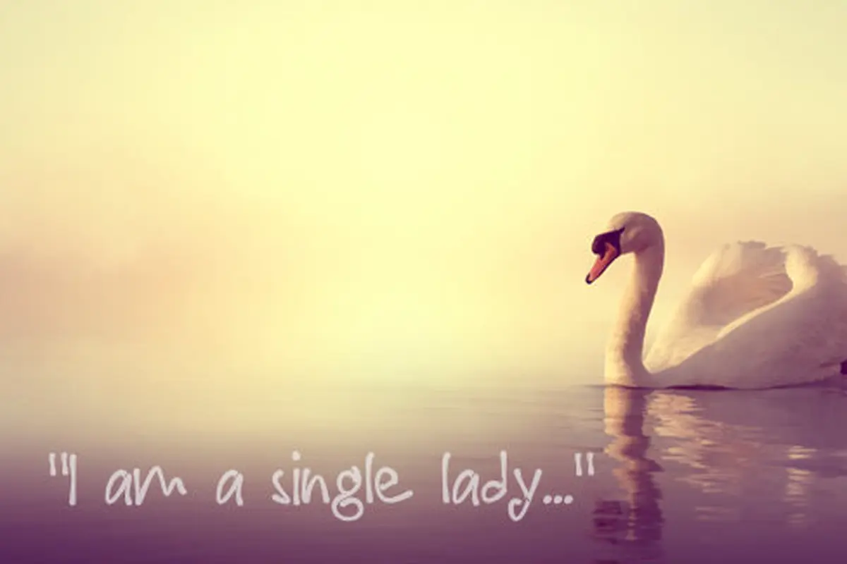 Courtesy ShutterStock.com
