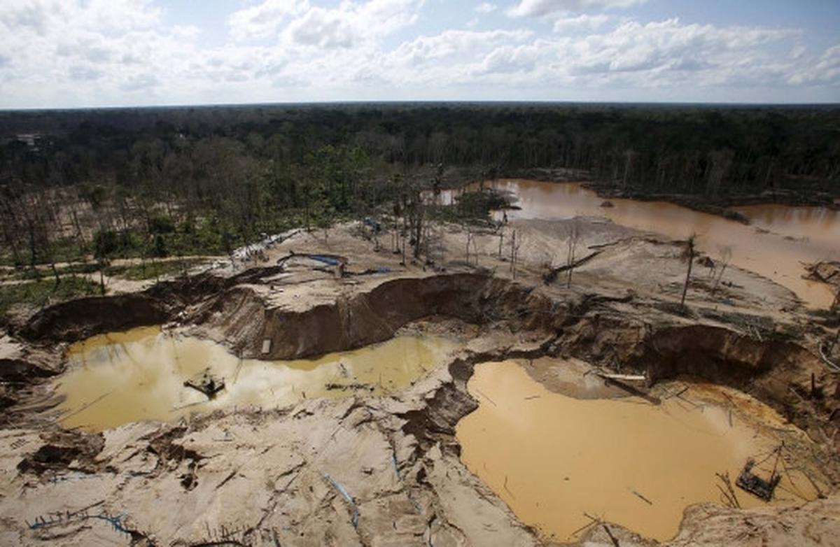 Begini kondisi hancur Hutan Amazon yang digerogoti tambang liar
