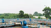 PT Lippo Karawaci Tbk telah mengelola berbagai jenis limbah, termasuk limbah domestik, limbah medis, sampah lanskap, serta&nbsp;limbah konstruksi dari pengembangan proyek. (Dok LPKR)