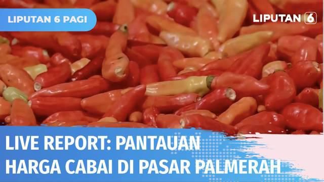Pantauan harga cabai di DKI Jakarta, di Pasar Palmerah, cabai rawit merah dijual Rp 110 ribu per kilogram.