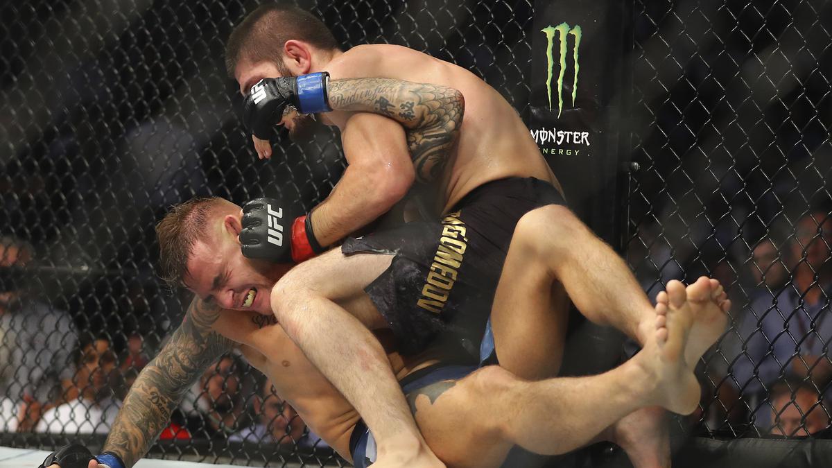 Khabib Nurmagomedov Mempertimbangkan Segera Pensiun Alasannya Simpel Ragam Bola Com